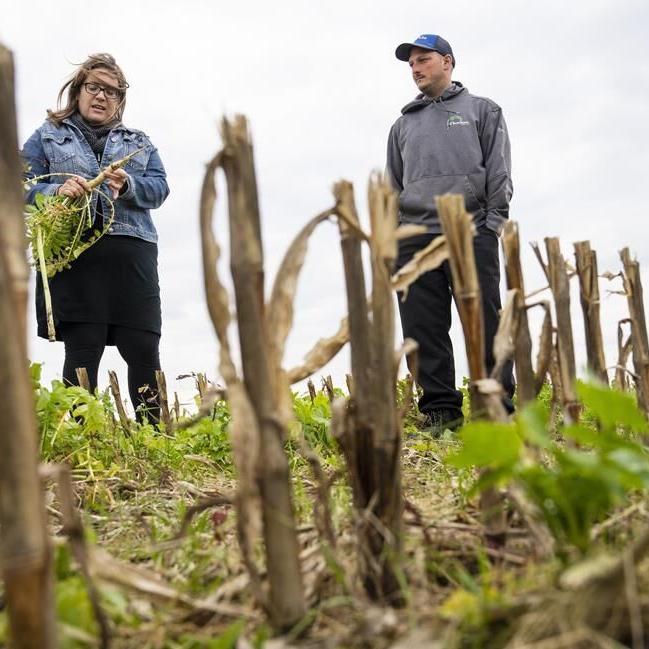Climate Changed: Quebec farmers improve soil as water supply becomes less reliable